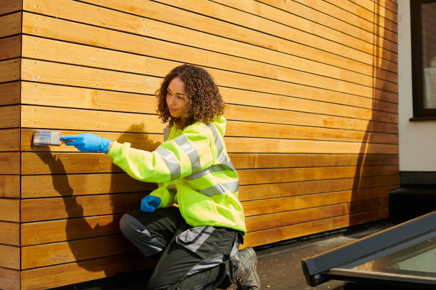 Best Fascia and Soffit Installation  in Cool Valley, MO