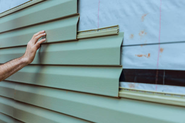 Best Siding Painting and Refinishing  in Cool Valley, MO